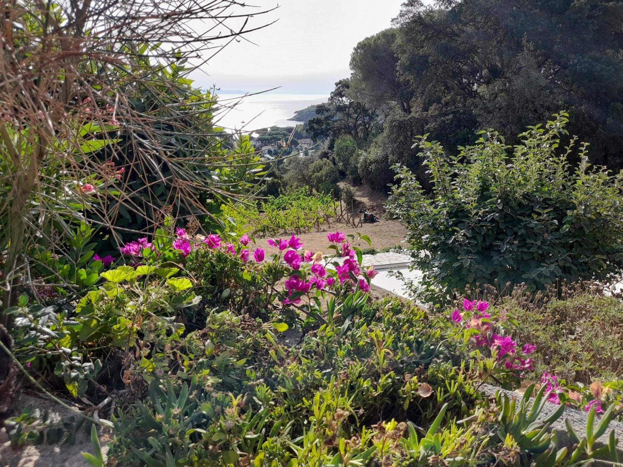 Villa Gualdo Piscina Vista Mare Capoliveri  Esterno foto